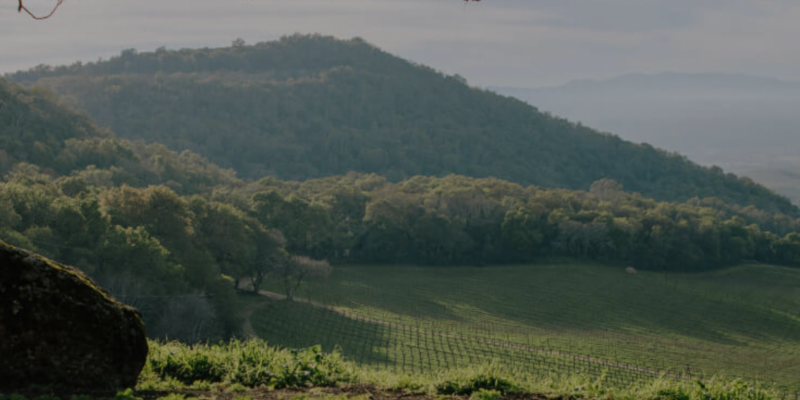 Chappellet Winery Spotlight