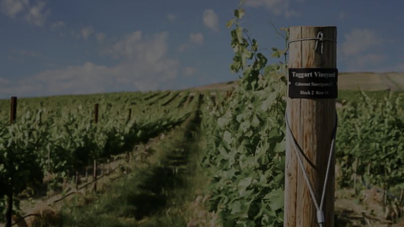 Echolands Winery: Crafted by Kansas City Visionaries