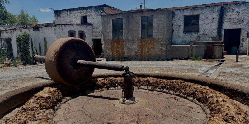 Mezcal Villasuso: Smokeless Mezcal